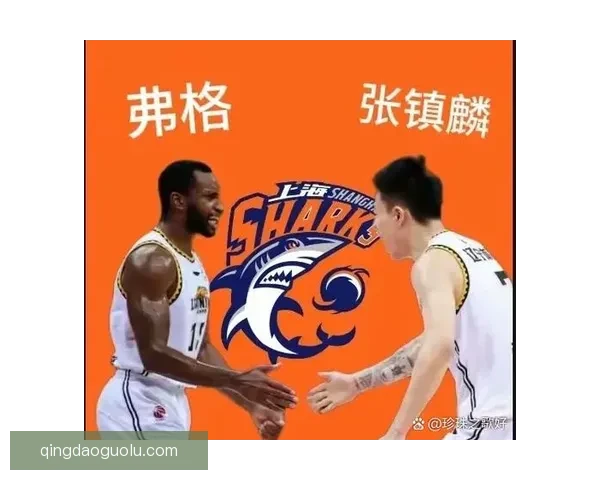 弗格揭秘夺冠诀窍紧跟张镇麟赢